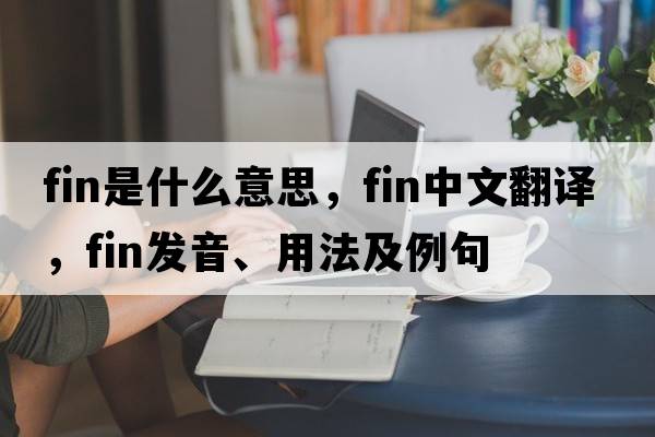 fin是什么意思，fin中文翻譯，fin發(fā)音、用法及例句