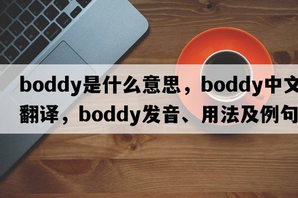 Boddy是什么意思，Boddy中文翻譯，Boddy發(fā)音、用法及例句
