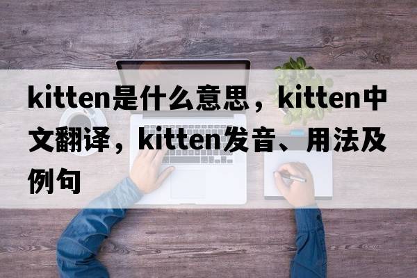 kitten是什么意思，kitten中文翻譯，kitten發(fā)音、用法及例句