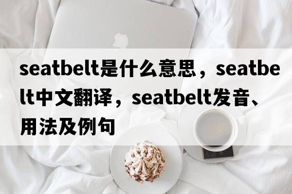 seatbelt是什么意思，seatbelt中文翻譯，seatbelt發(fā)音、用法及例句