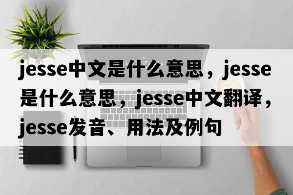 jesse中文是什么意思，Jesse是什么意思，Jesse中文翻譯，Jesse發(fā)音、用法及例句
