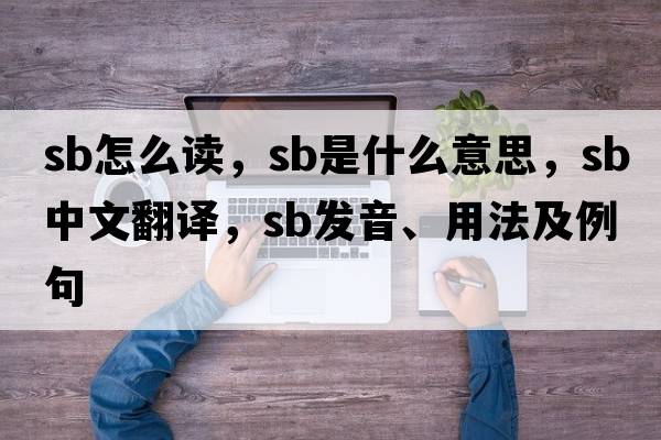 sb怎么讀，SB是什么意思，SB中文翻譯，SB發(fā)音、用法及例句