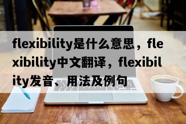 flexibility是什么意思，flexibility中文翻譯，flexibility發(fā)音、用法及例句