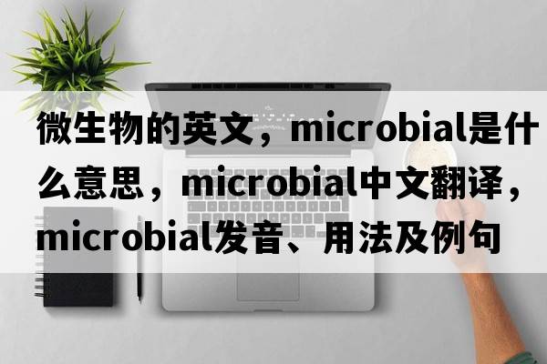 微生物的英文，microbial是什么意思，microbial中文翻譯，microbial發(fā)音、用法及例句