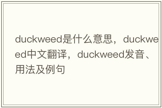 duckweed是什么意思，duckweed中文翻譯，duckweed發(fā)音、用法及例句