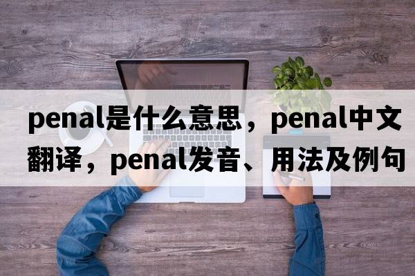 penal是什么意思，penal中文翻譯，penal發(fā)音、用法及例句