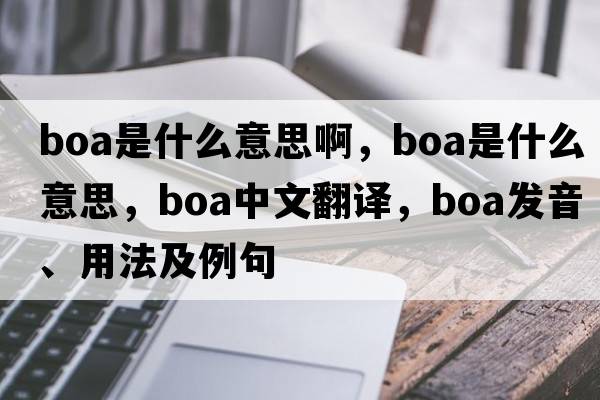 boa是什么意思啊，boa是什么意思，boa中文翻譯，boa發(fā)音、用法及例句