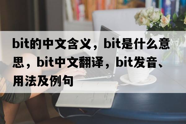 bit的中文含義，bit是什么意思，bit中文翻譯，bit發(fā)音、用法及例句