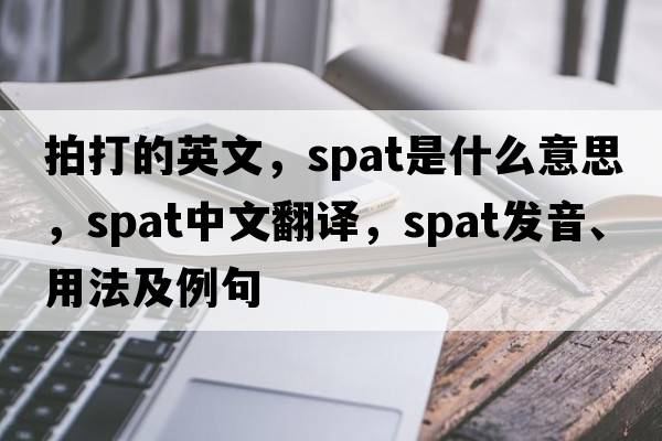 拍打的英文，spat是什么意思，spat中文翻譯，spat發(fā)音、用法及例句