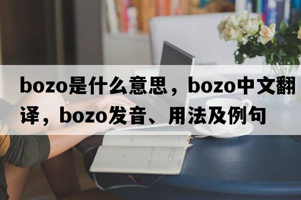 bozo是什么意思，bozo中文翻譯，bozo發(fā)音、用法及例句