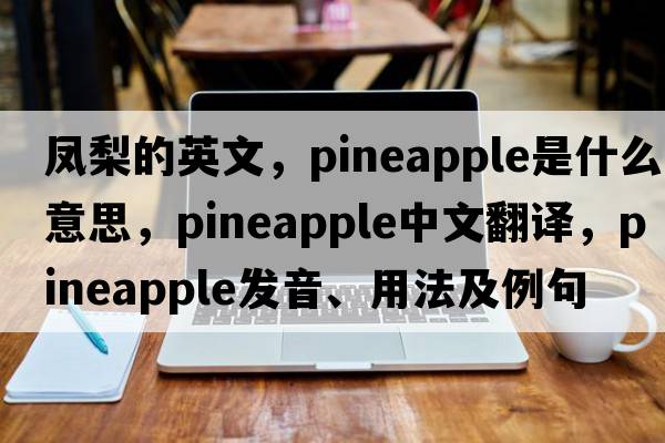 鳳梨的英文，pineapple是什么意思，pineapple中文翻譯，pineapple發(fā)音、用法及例句