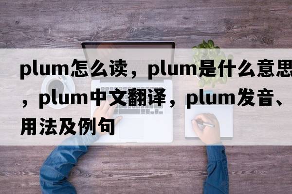 plum怎么讀，plum是什么意思，plum中文翻譯，plum發(fā)音、用法及例句