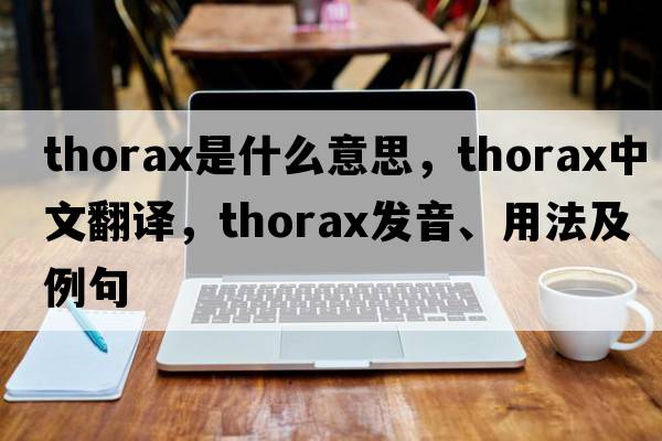 thorax是什么意思，thorax中文翻譯，thorax發(fā)音、用法及例句