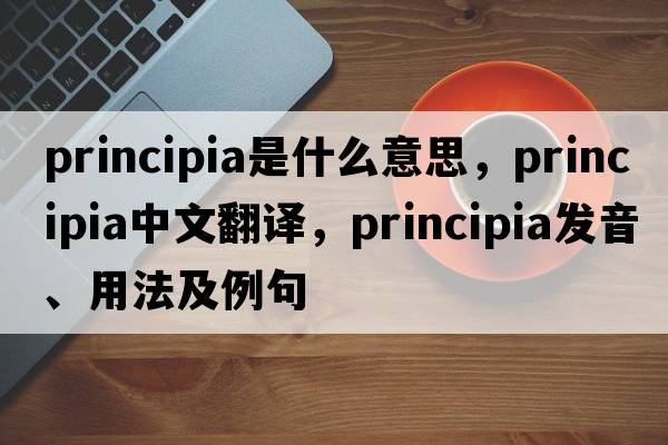 principia是什么意思，principia中文翻譯，principia發(fā)音、用法及例句