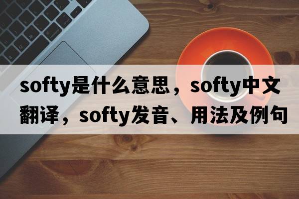 softy是什么意思，softy中文翻譯，softy發(fā)音、用法及例句