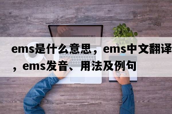 EMS是什么意思，EMS中文翻譯，EMS發(fā)音、用法及例句