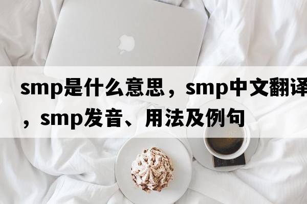 SMP是什么意思，SMP中文翻譯，SMP發(fā)音、用法及例句
