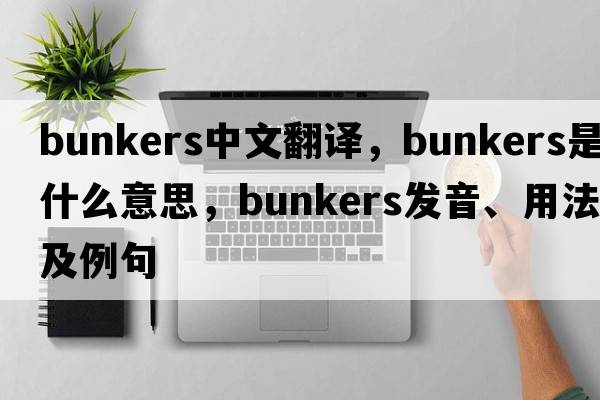 bunkers中文翻譯，bunkers是什么意思，bunkers發(fā)音、用法及例句