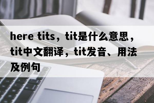 here tits，tit是什么意思，tit中文翻譯，tit發(fā)音、用法及例句
