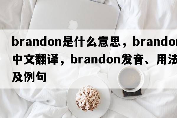 brandon是什么意思，brandon中文翻譯，brandon發(fā)音、用法及例句