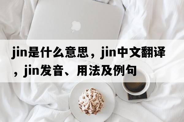 jin是什么意思，jin中文翻譯，jin發(fā)音、用法及例句