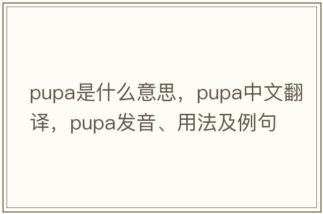pupa是什么意思，pupa中文翻譯，pupa發(fā)音、用法及例句