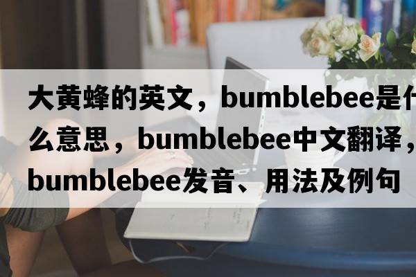 大黃蜂的英文，bumblebee是什么意思，bumblebee中文翻譯，bumblebee發(fā)音、用法及例句
