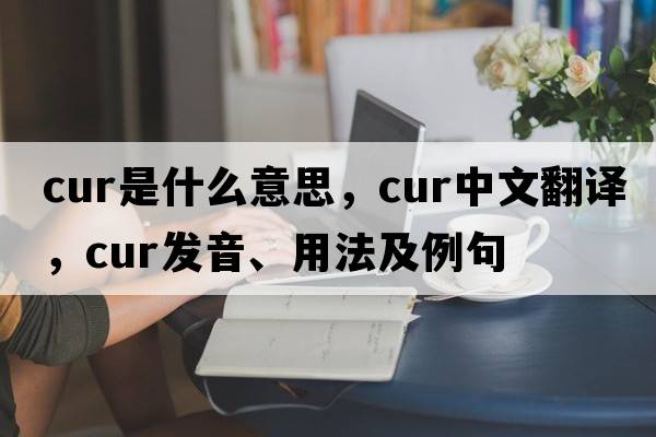 cur是什么意思，cur中文翻譯，cur發(fā)音、用法及例句