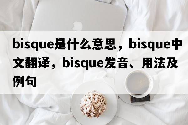 bisque是什么意思，bisque中文翻譯，bisque發(fā)音、用法及例句
