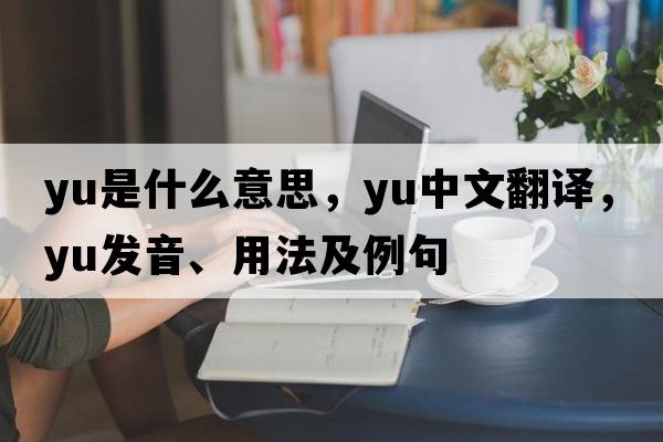 yu是什么意思，yu中文翻譯，yu發(fā)音、用法及例句