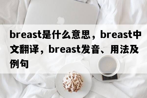 breast是什么意思，breast中文翻譯，breast發(fā)音、用法及例句