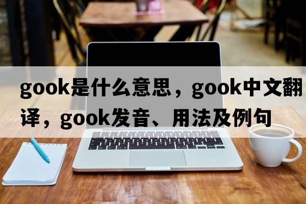 gook是什么意思，gook中文翻譯，gook發(fā)音、用法及例句