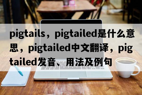 pigtails，pigtailed是什么意思，pigtailed中文翻譯，pigtailed發(fā)音、用法及例句