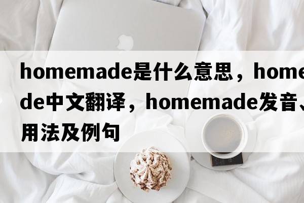 homemade是什么意思，homemade中文翻譯，homemade發(fā)音、用法及例句