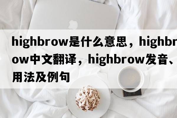 highbrow是什么意思，highbrow中文翻譯，highbrow發(fā)音、用法及例句