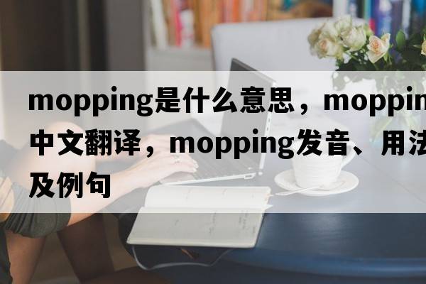 mopping是什么意思，mopping中文翻譯，mopping發(fā)音、用法及例句