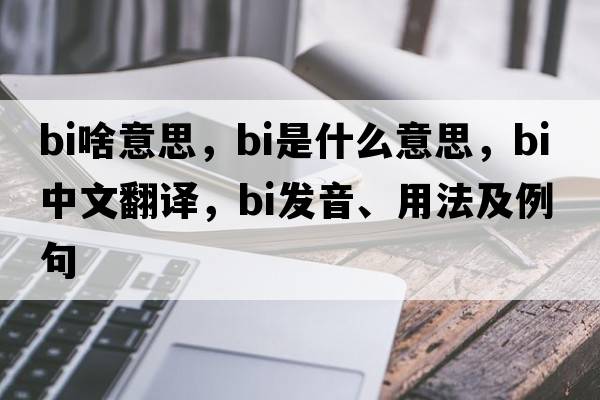 bi啥意思，BI是什么意思，BI中文翻譯，BI發(fā)音、用法及例句