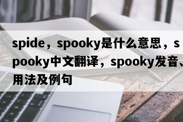 spide，spooky是什么意思，spooky中文翻譯，spooky發(fā)音、用法及例句