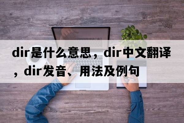 DIR是什么意思，DIR中文翻譯，DIR發(fā)音、用法及例句
