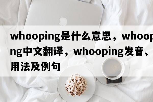 whooping是什么意思，whooping中文翻譯，whooping發(fā)音、用法及例句
