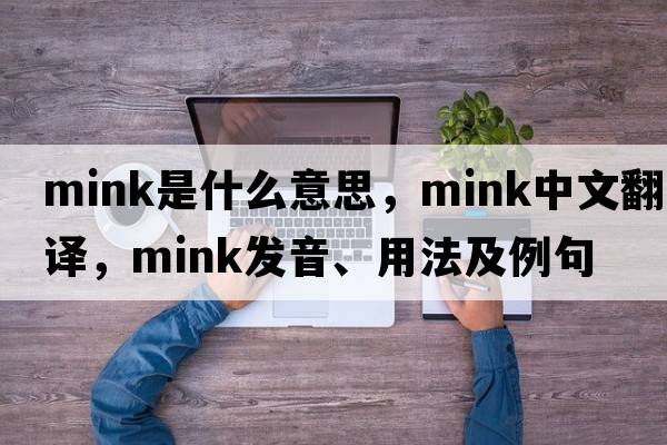 mink是什么意思，mink中文翻譯，mink發(fā)音、用法及例句