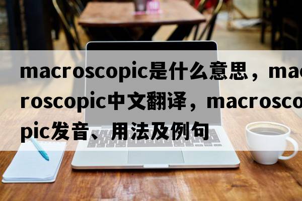 macroscopic是什么意思，macroscopic中文翻譯，macroscopic發(fā)音、用法及例句
