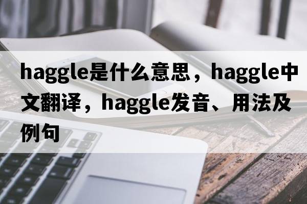 haggle是什么意思，haggle中文翻譯，haggle發(fā)音、用法及例句