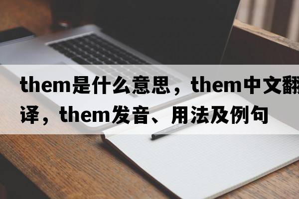them是什么意思，them中文翻譯，them發(fā)音、用法及例句