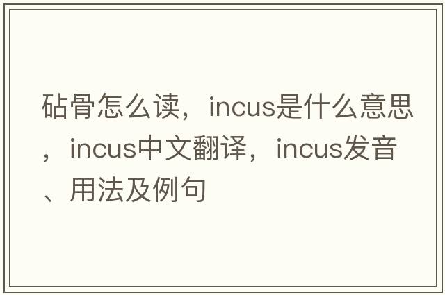砧骨怎么讀，incus是什么意思，incus中文翻譯，incus發(fā)音、用法及例句