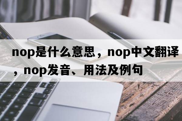 nop是什么意思，nop中文翻譯，nop發(fā)音、用法及例句