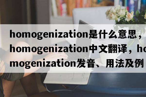 homogenization是什么意思，homogenization中文翻譯，homogenization發(fā)音、用法及例句