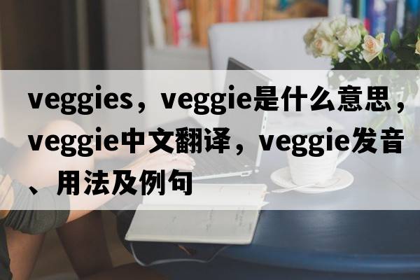 veggies，veggie是什么意思，veggie中文翻譯，veggie發(fā)音、用法及例句