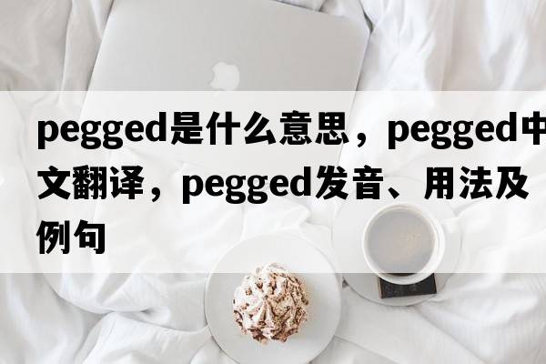 pegged是什么意思，pegged中文翻譯，pegged發(fā)音、用法及例句
