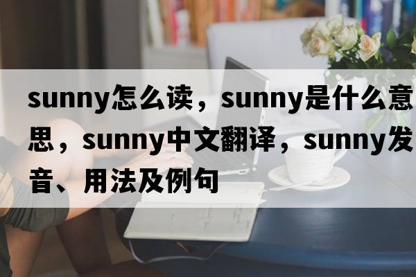 sunny怎么讀，sunny是什么意思，sunny中文翻譯，sunny發(fā)音、用法及例句